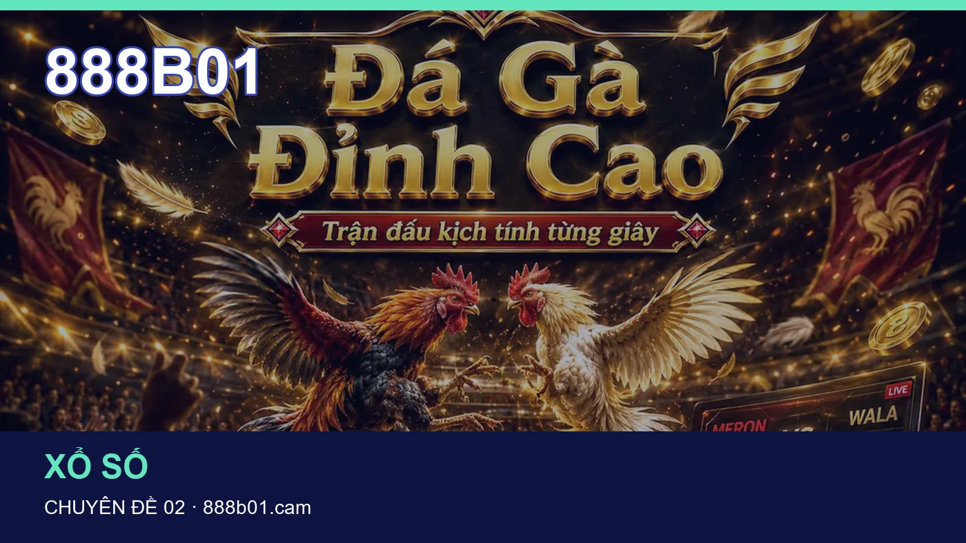 Hình minh họa bài viết 888B01