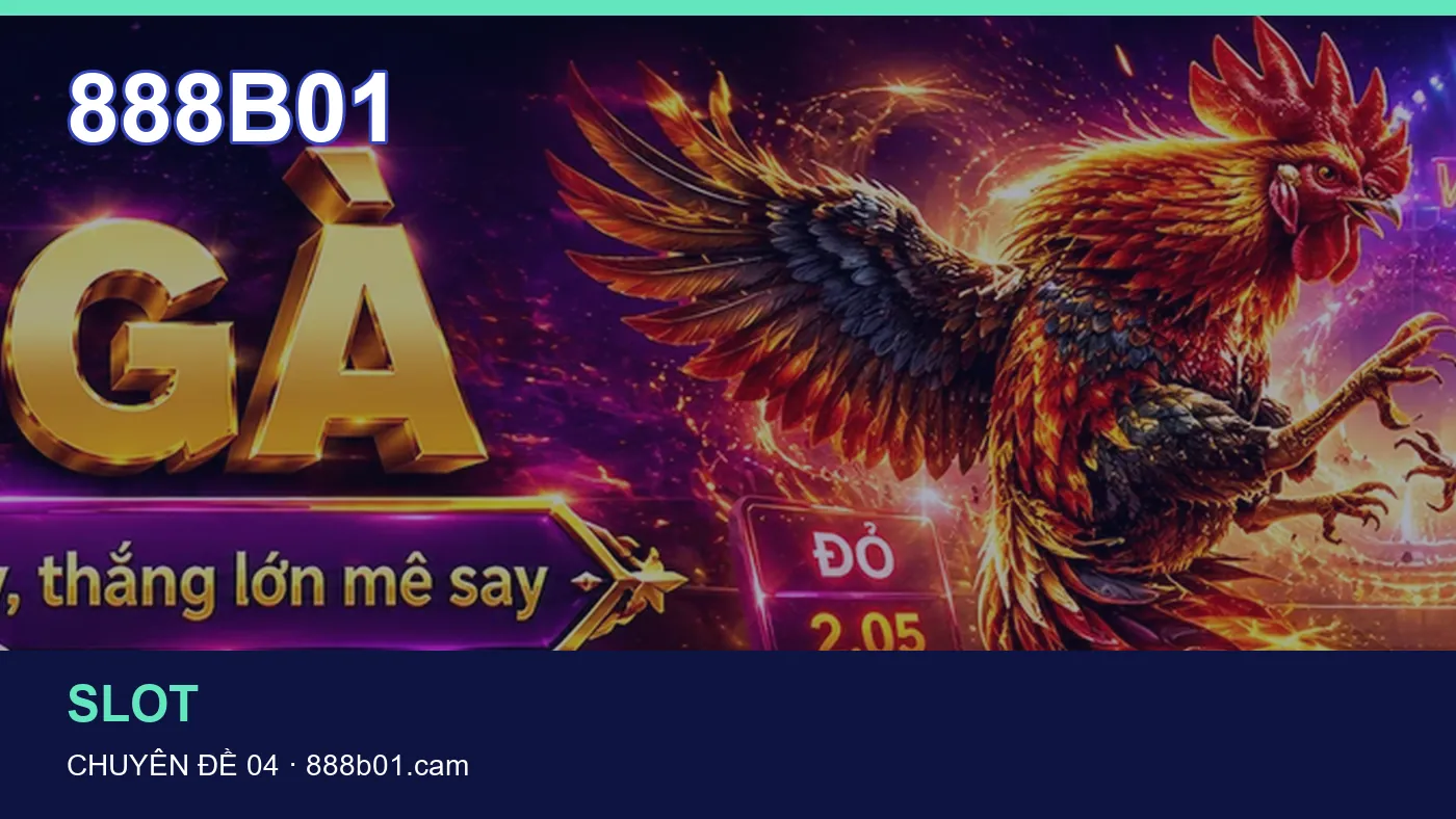 Hình minh họa bài viết 888B01
