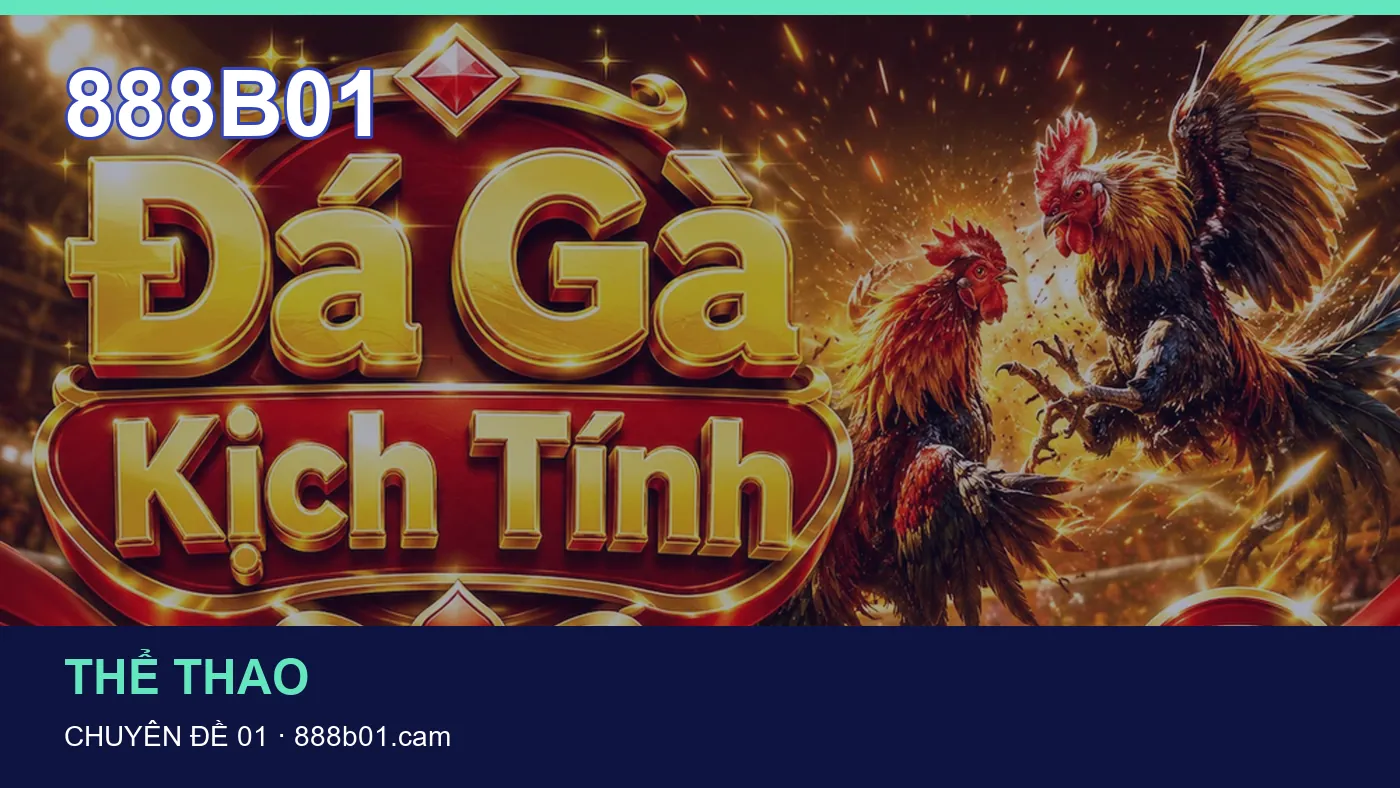 Hình minh họa bài viết 888B01